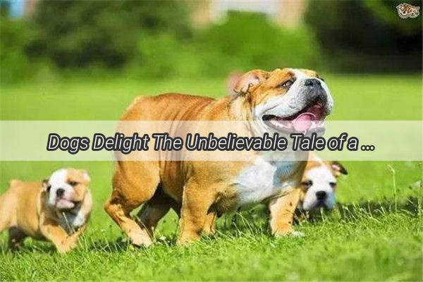 Dogs Delight The Unbelievable Tale of a Poochs Love for Beef Stomach